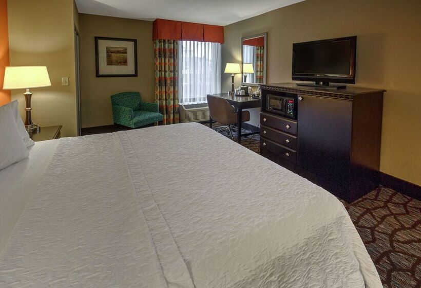 هتل Hampton Inn Ashevilletunnel Rd