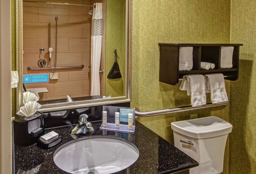 فندق Hampton Inn Ashevilletunnel Rd