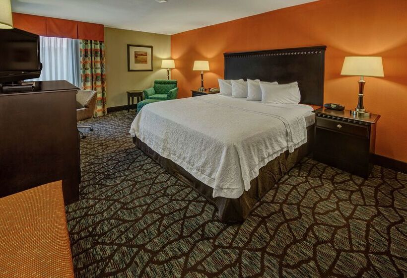 فندق Hampton Inn Ashevilletunnel Rd