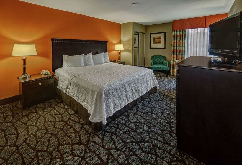 هتل Hampton Inn Ashevilletunnel Rd
