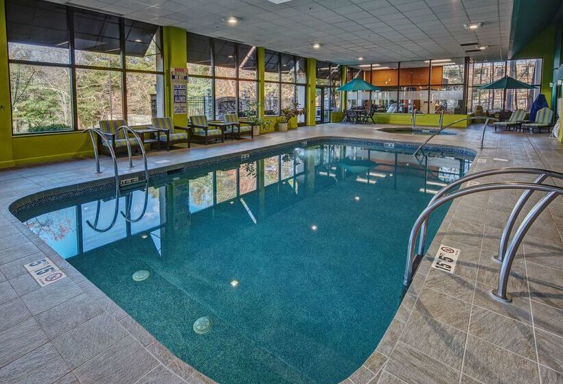 فندق Hampton Inn Ashevilletunnel Rd