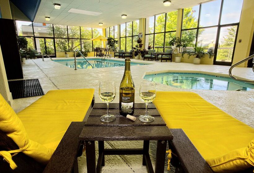 هتل Hampton Inn Ashevilletunnel Rd