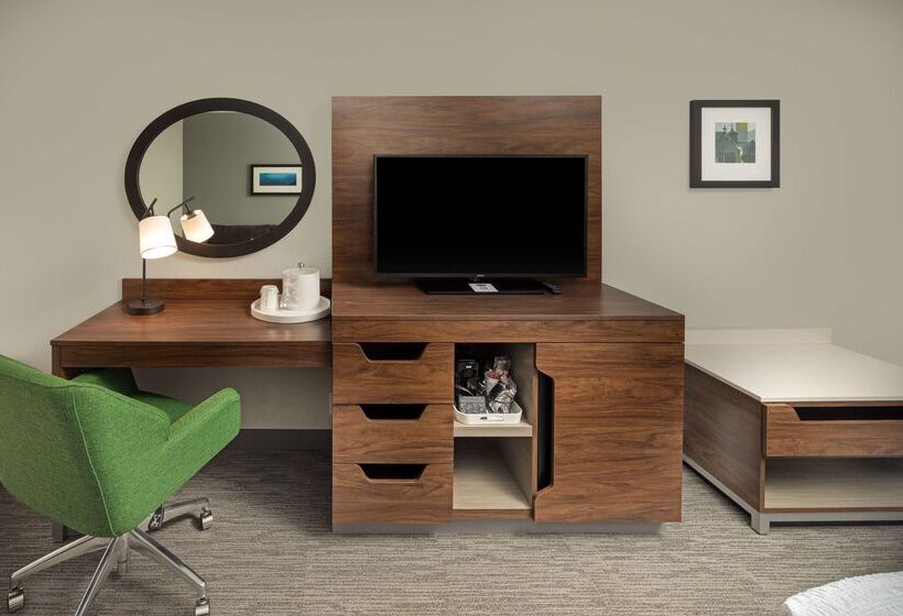 هتل Hampton Inn Ashevilletunnel Rd