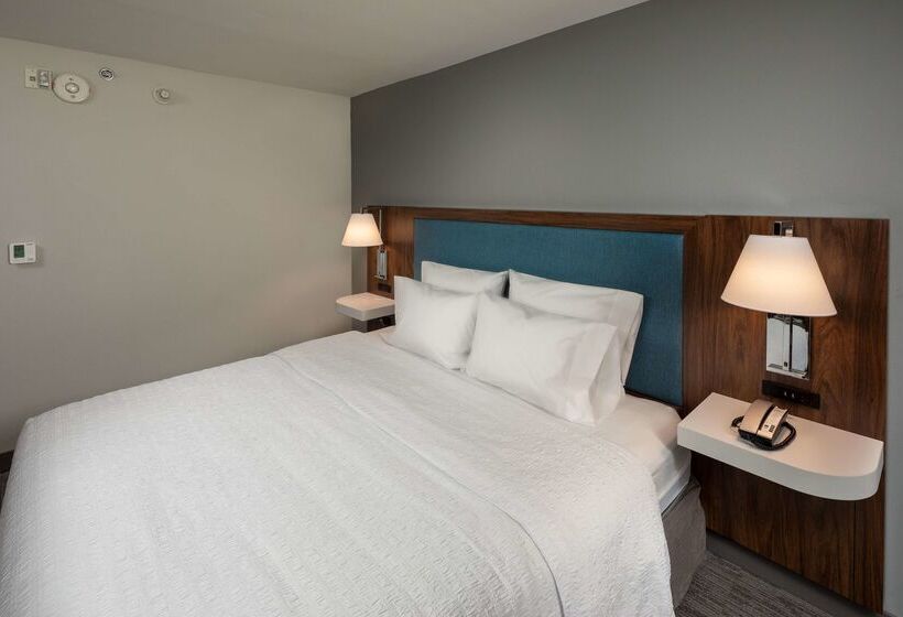 هتل Hampton Inn Ashevilletunnel Rd