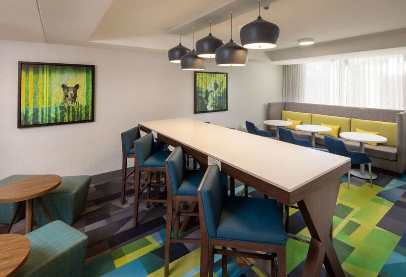 فندق Hampton Inn Ashevilletunnel Rd