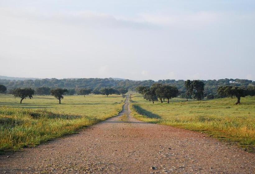 호텔 Herdade Da Negrita