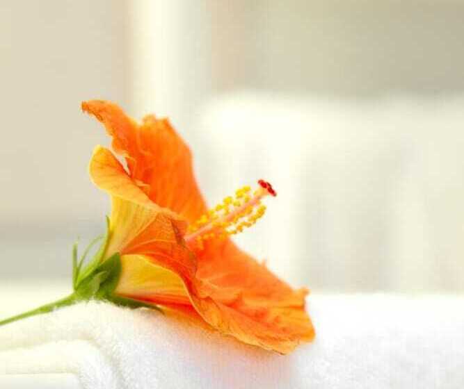 فندق Hôtel Le Clos Roussillon