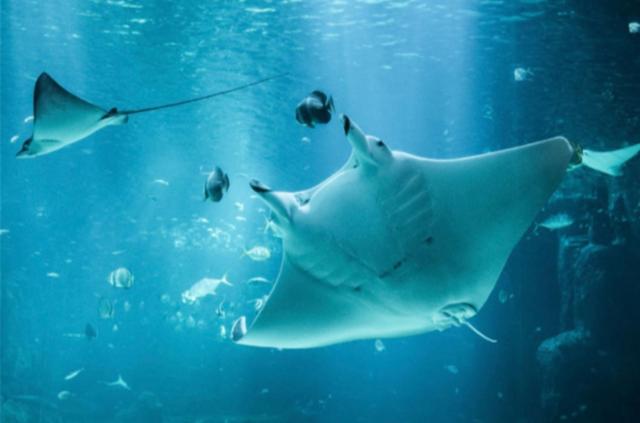 호텔 Hôtel Résidence Du Golf