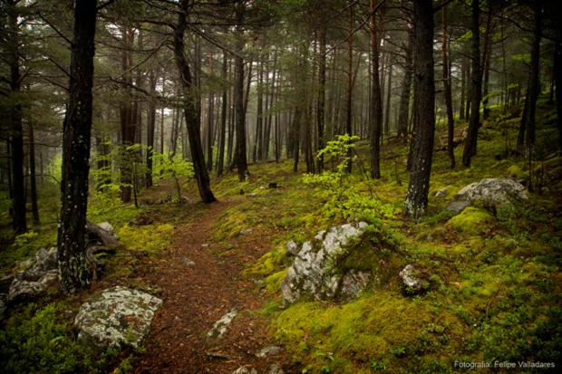 בית מלון כפרי L'alcova Turisme Rural