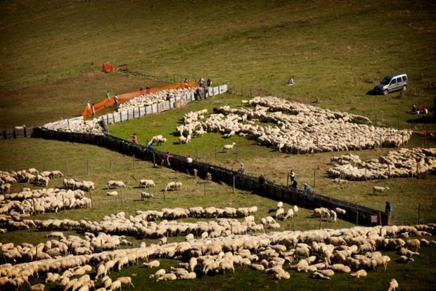 בית מלון כפרי L'alcova Turisme Rural