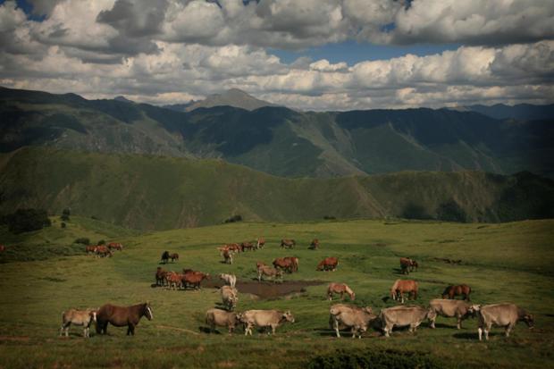 בית מלון כפרי L'alcova Turisme Rural