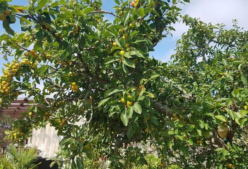 酒店 Le Relais De Launay