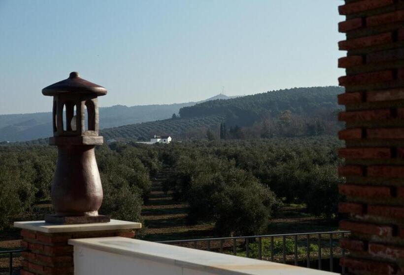 Отель Los Dolmenes