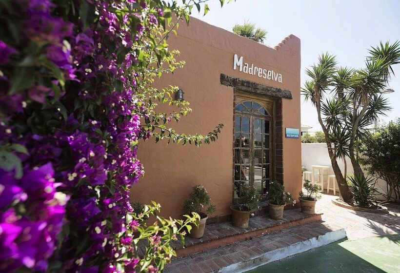 Отель Madreselva Grupo Califa