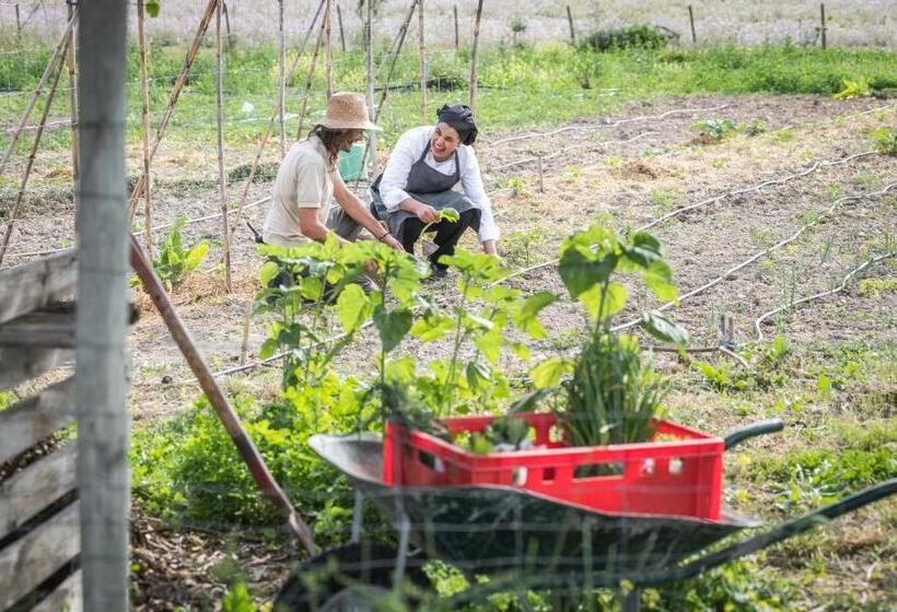 ホテル Monnaber Vell