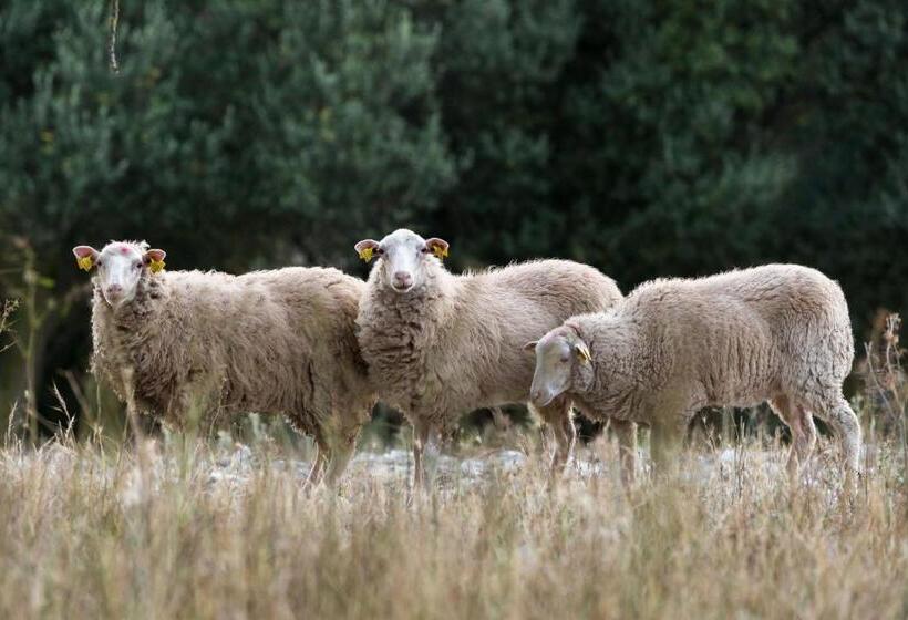 ホテル Monnaber Vell