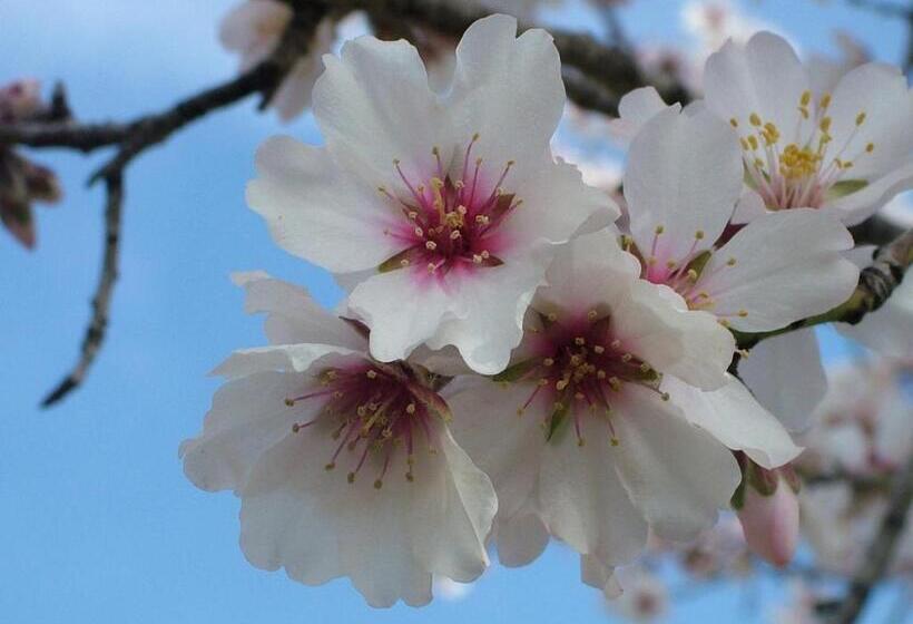 ホテル Monnaber Vell