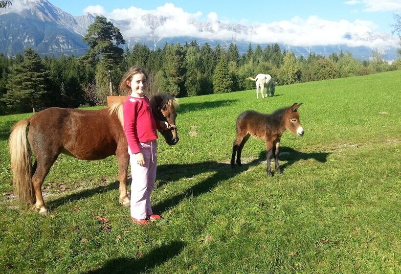 호텔 Nattererboden