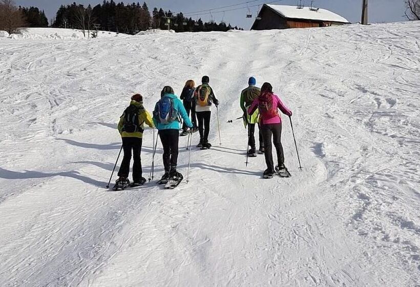 호텔 Nattererboden