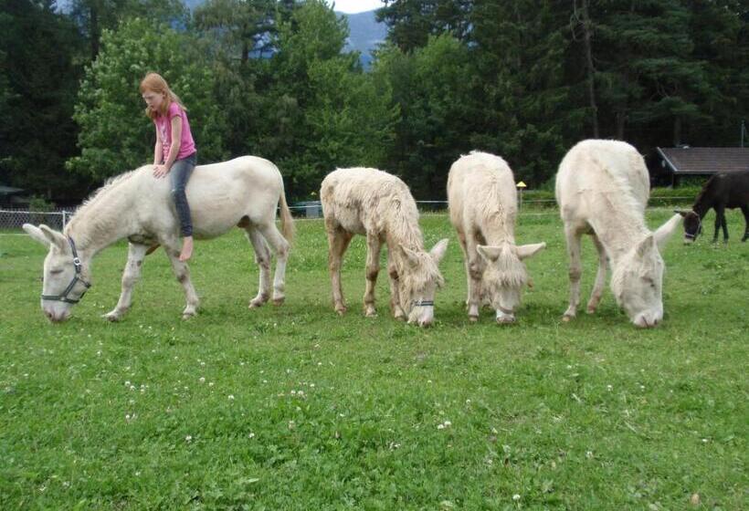 호텔 Nattererboden