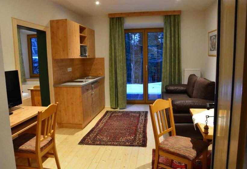 호텔 Nattererboden