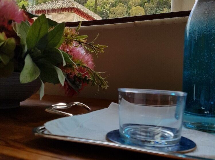 هتل Palacio Cobertizo De Santa Ines