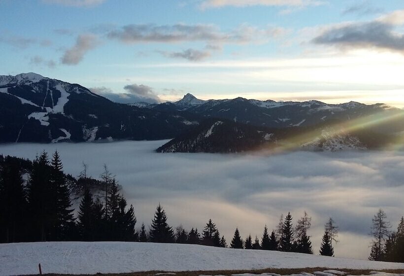 Отель Pension Bergbauernhof Irxner