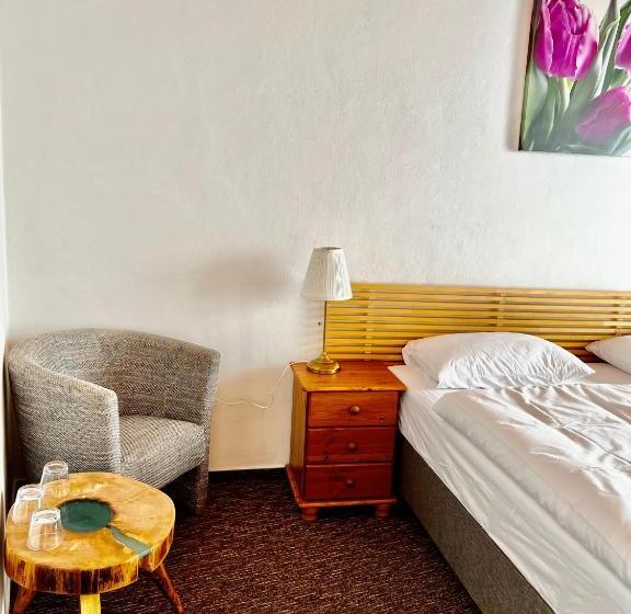 فندق Pension Mona