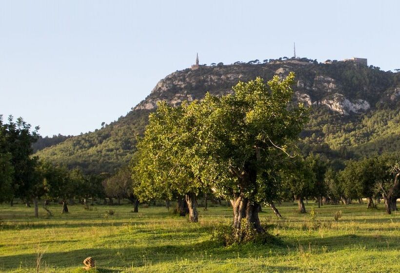 Petit Hotel Hostatgeria Sant Salvador