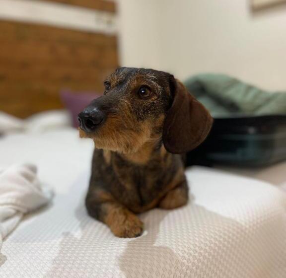 酒店 Puerta De Algadir