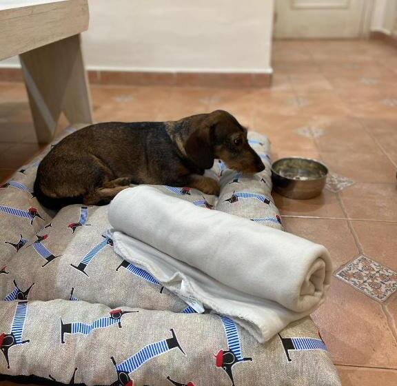 酒店 Puerta De Algadir