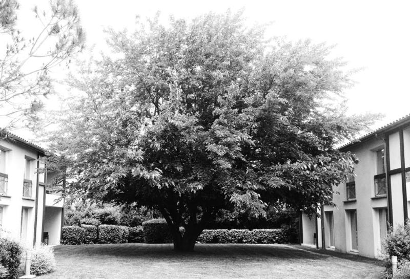 فندق Les Pins Galants