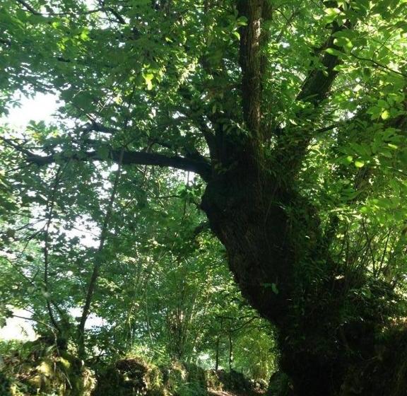 هتل روستایی El Quintanal