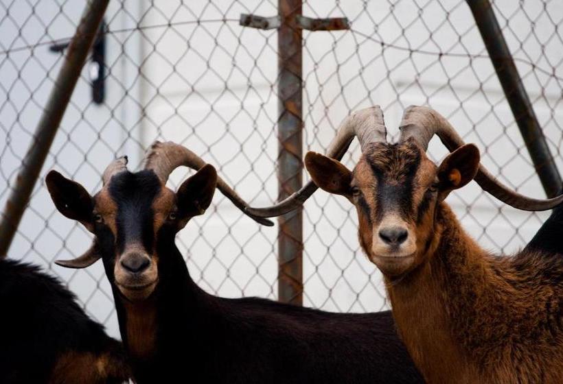 فندق ريفى Restaurante Puente Romano
