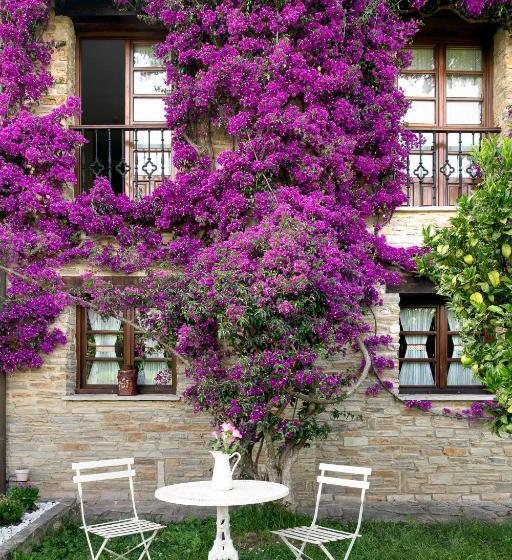 فندق ريفى Rural Casona De Cefontes