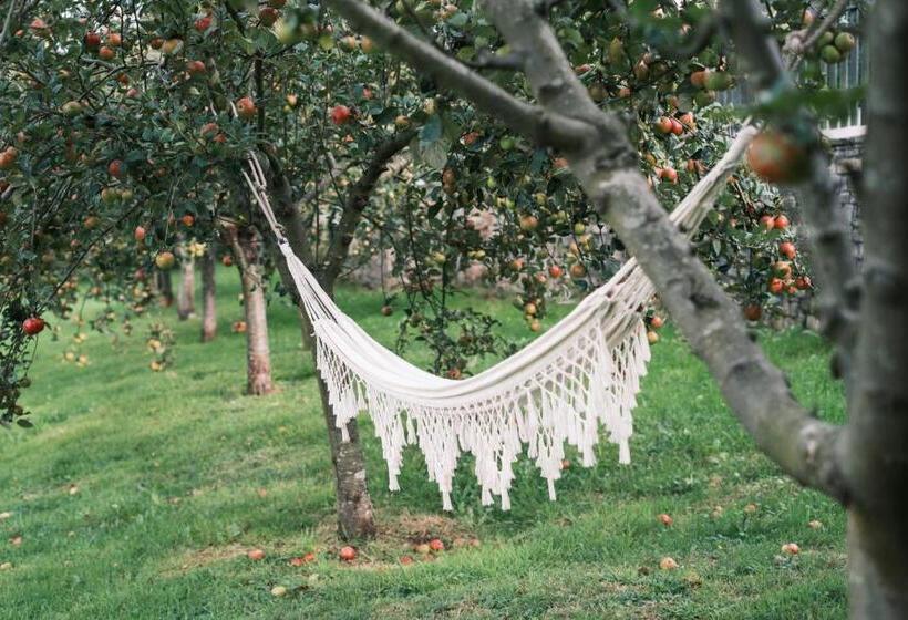 فندق ريفى Rural Casona De Cefontes