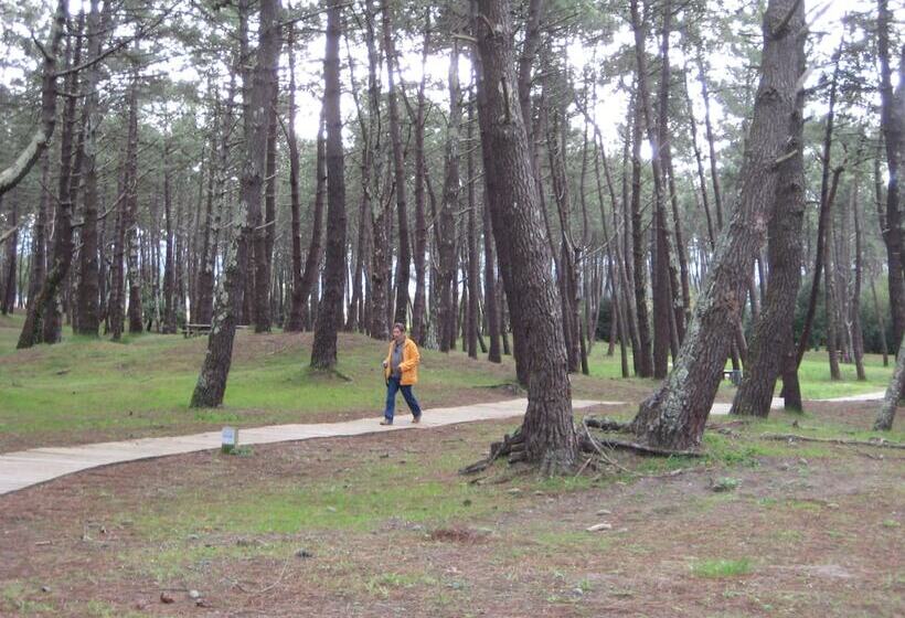 فندق ريفى Viento Del Norte