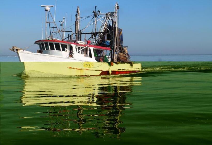 בית מלון כפרי Scarborough Beach Resort Brisbane