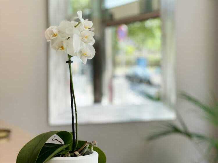 Sm Hotel Teatre Auditori