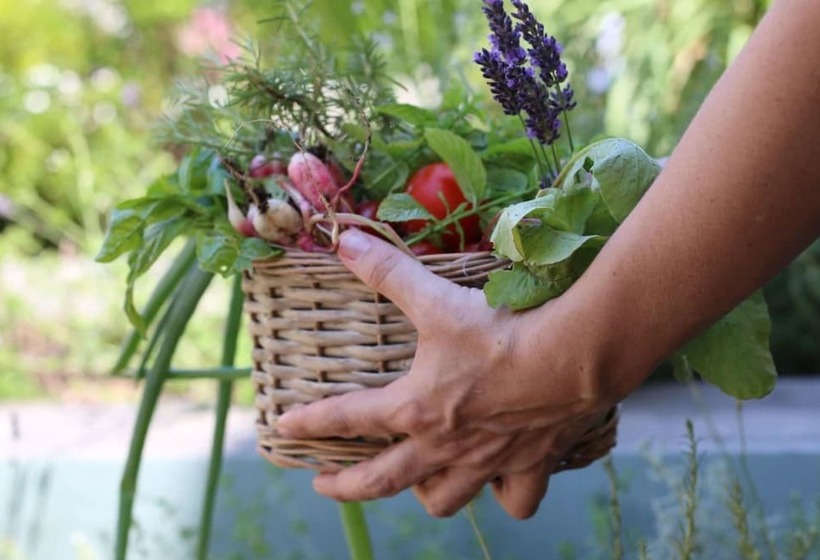 ホテル Sud Hôtel Restaurant