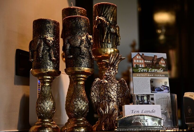 בית מלון כפרי Ten Lande