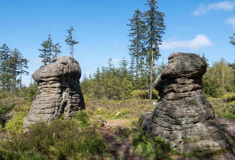 Отель Tommy Wellness & Spa