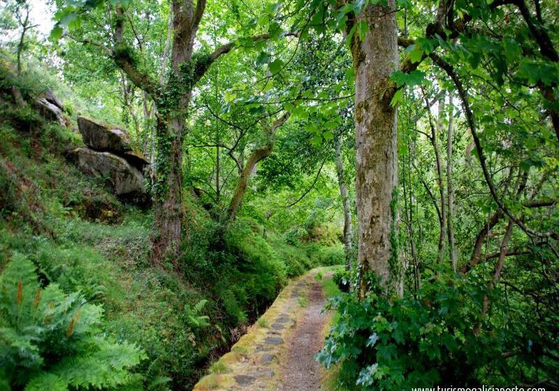 בית מלון כפרי Vila Do Val