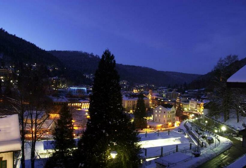 Wellnesshotel Rothfuß Mit Spa Und 2 Schwimmbädern
