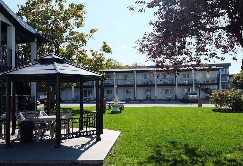 汽车旅馆  Oasis Inn