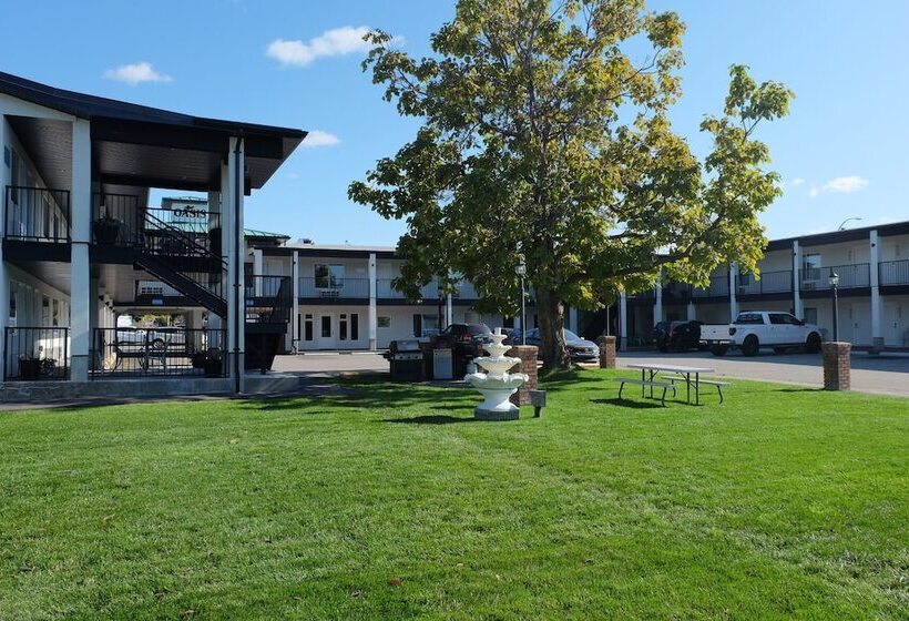 汽车旅馆  Oasis Inn