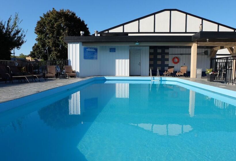 汽车旅馆  Oasis Inn