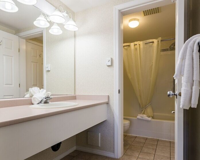 汽车旅馆  Oasis Inn