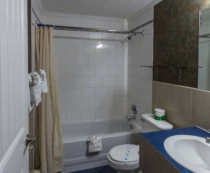 汽车旅馆  Oasis Inn