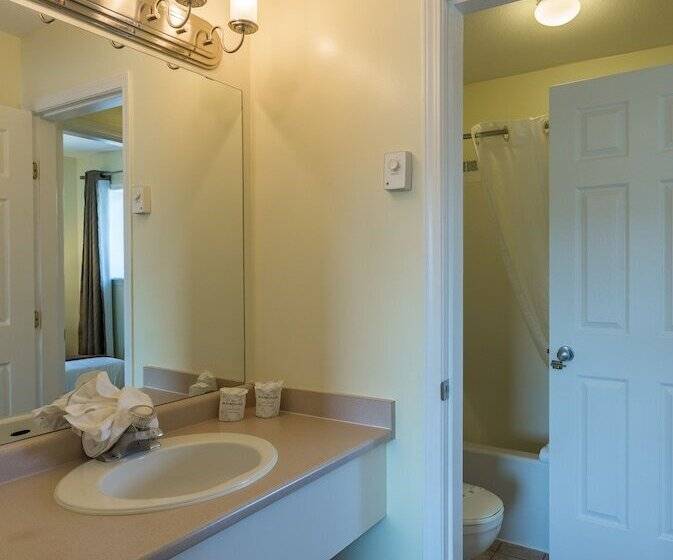 汽车旅馆  Oasis Inn